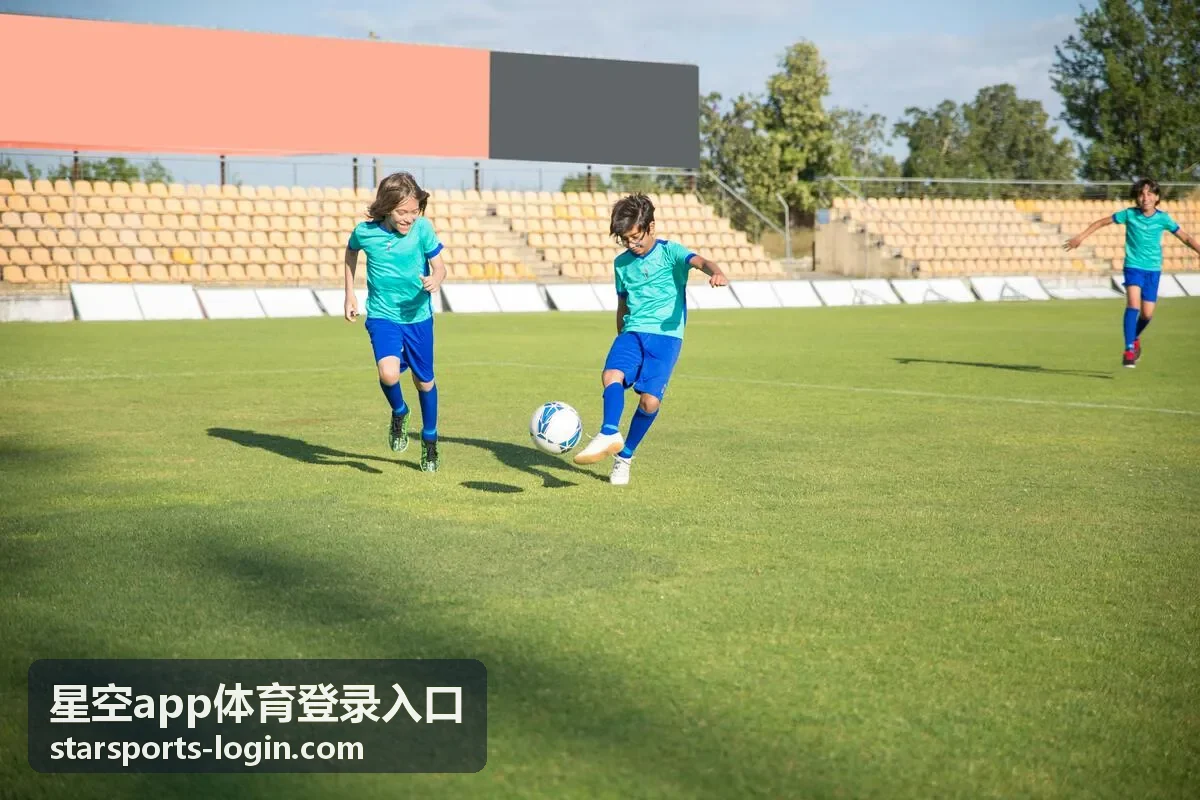 星空app体育登录入口网球案例